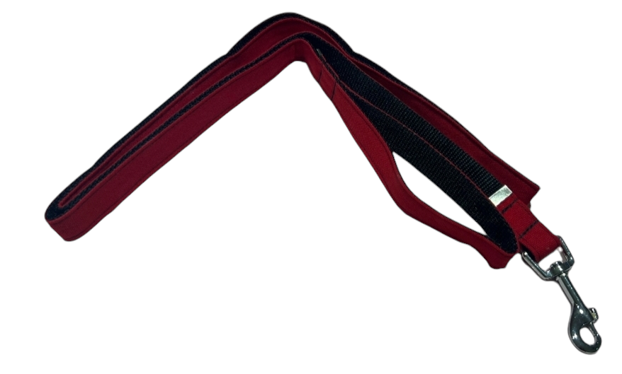 Red Dog Leash image 1