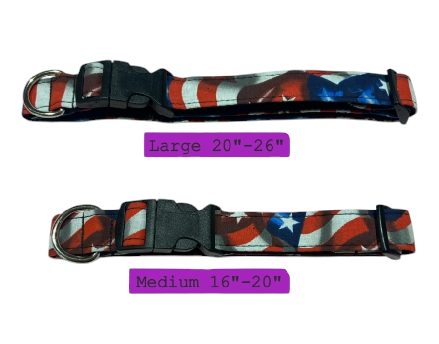 Solid Classic American Flag Collar image 0