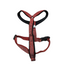 Dog harness image 0