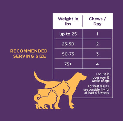 The Only Multivitamin Soft Chews Dogs Need image 1
