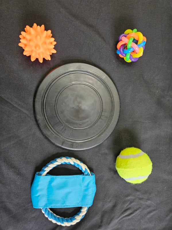 Assorted Dog Toys image 0