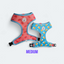 Reversible Harness image 0