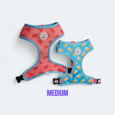 Reversible Harness image 0