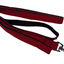 Red Dog Leash image 0