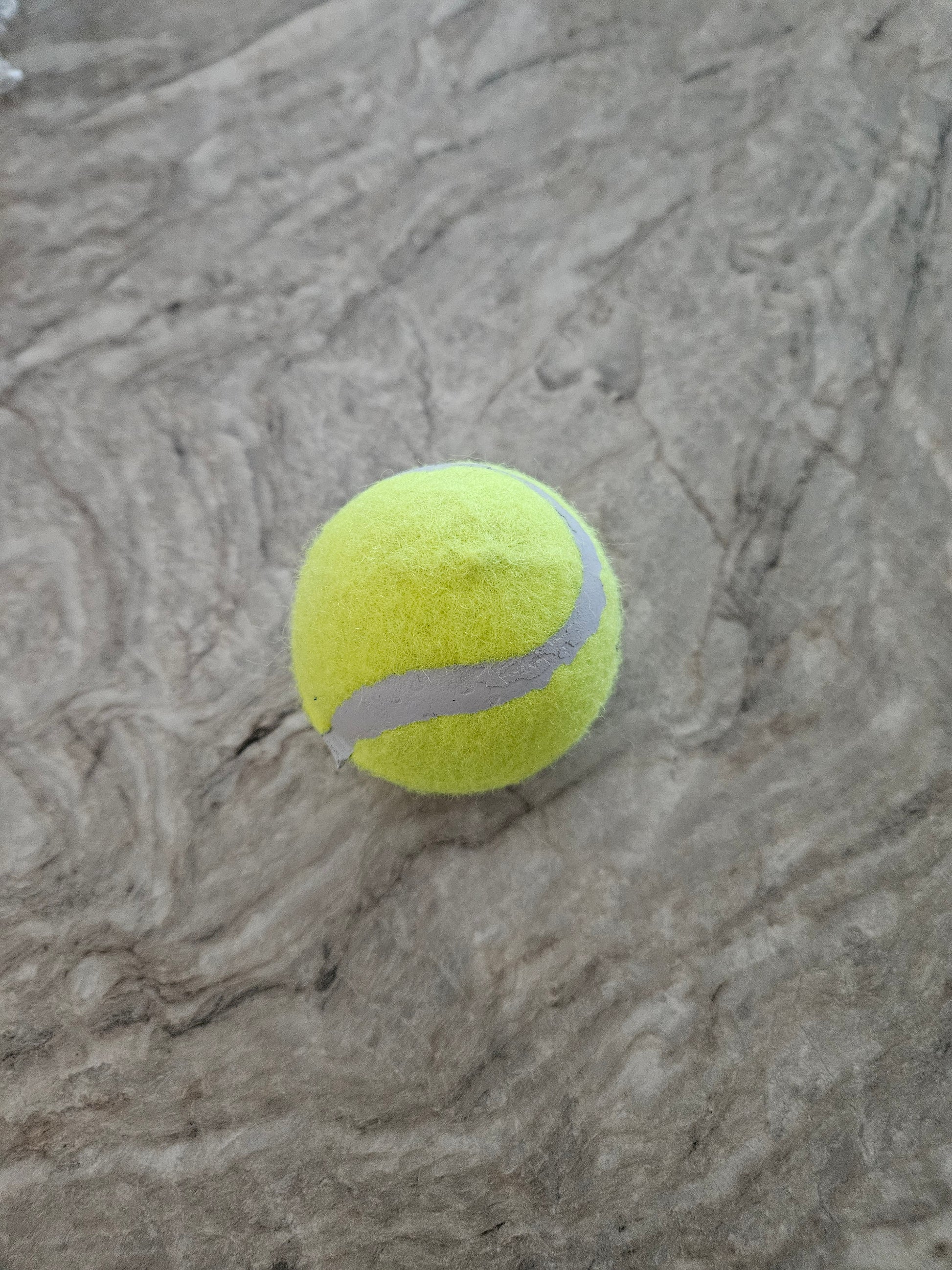 Assorted Dog Toys image 2