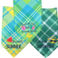 “Spring Vibes” Green & Yellow Pet Bandannas