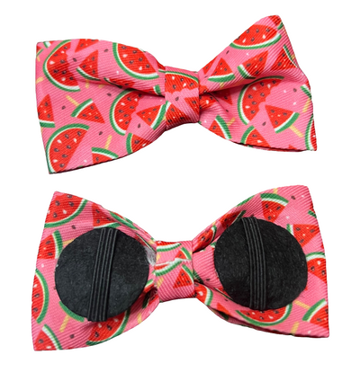 Fruit Bows, Assorted Designs