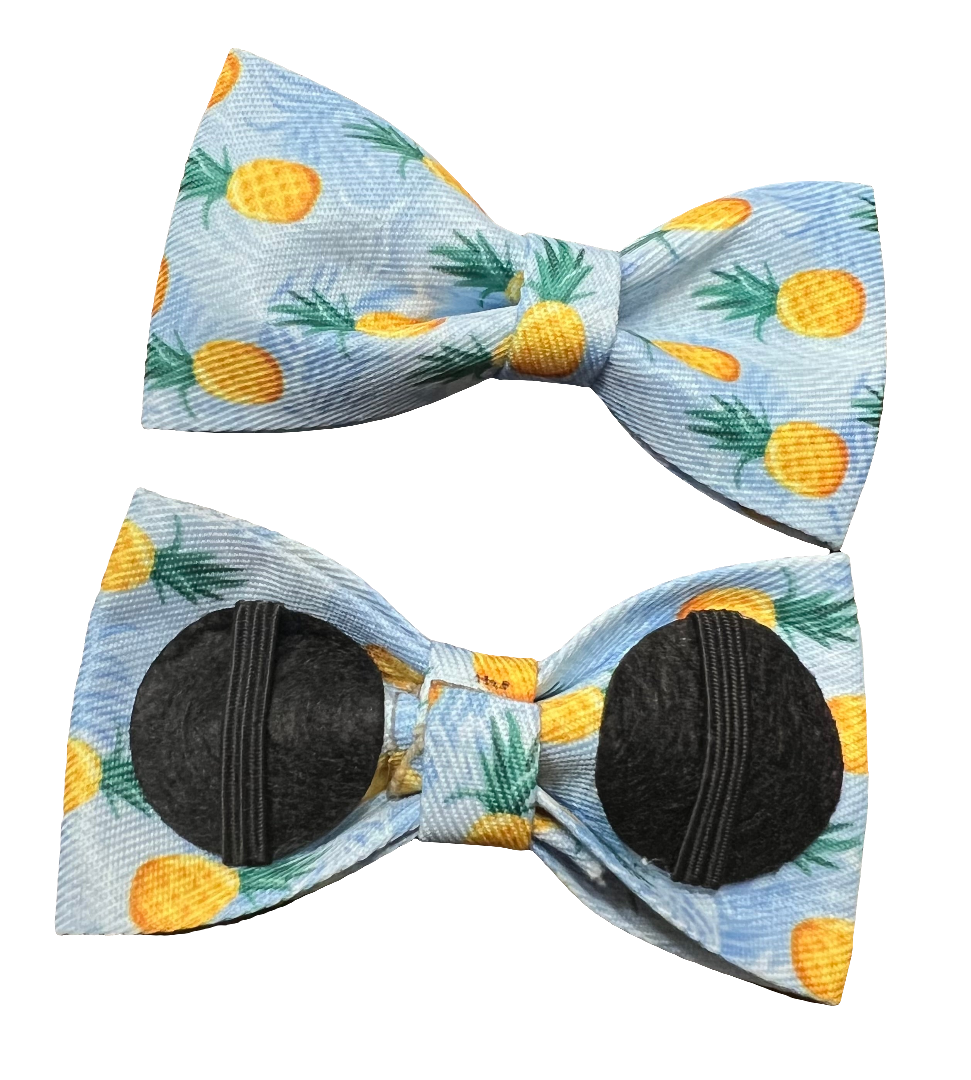 Fruit Bows, Assorted Designs