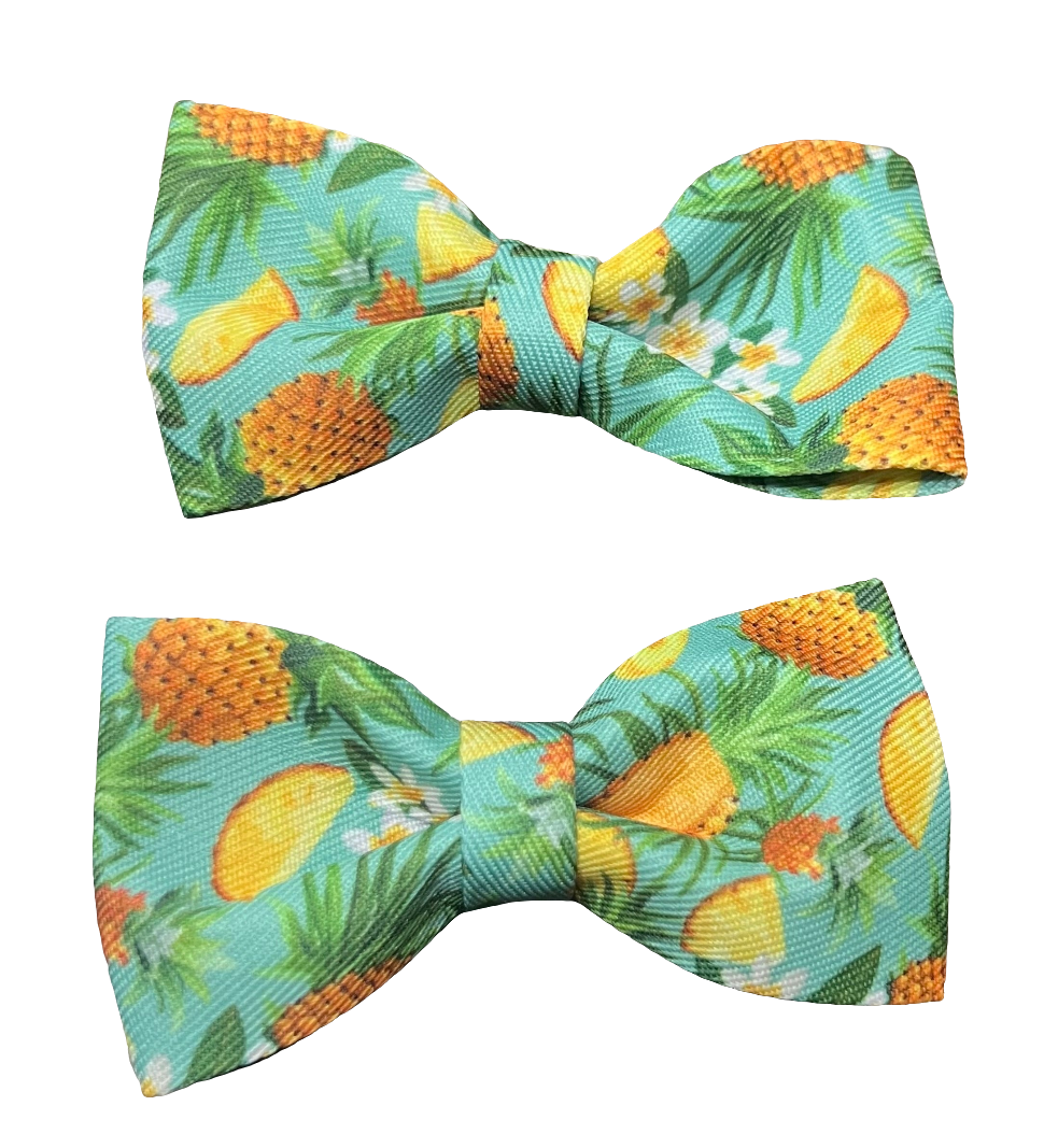 Fruit Bows, Assorted Designs