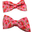 Fruit Bows, Assorted Designs
