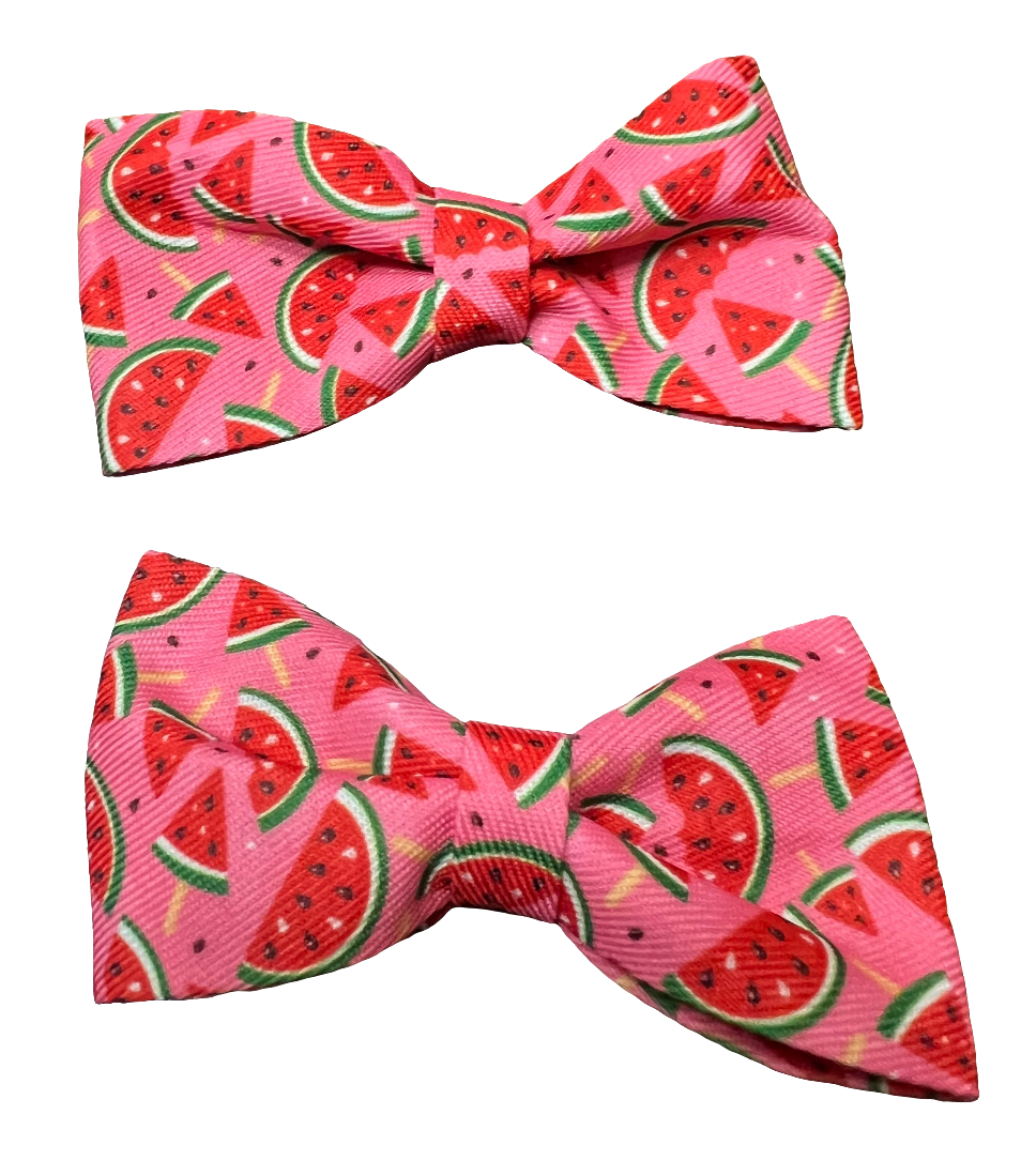 Fruit Bows, Assorted Designs