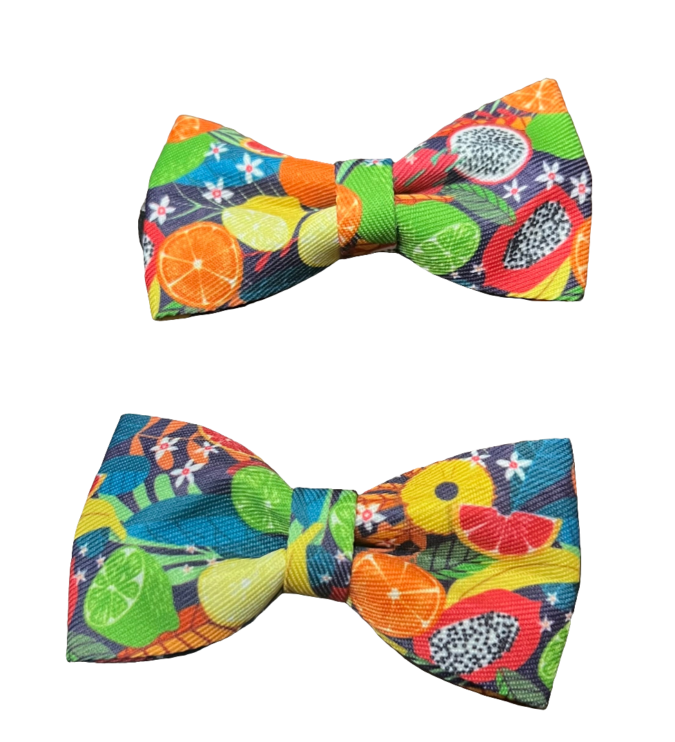 Fruit Bows, Assorted Designs