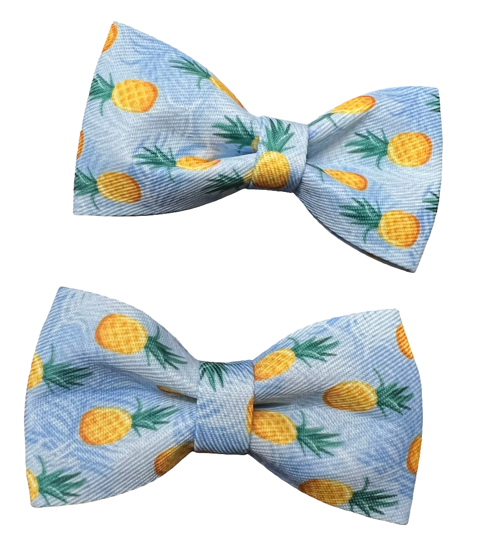 Fruit Bows, Assorted Designs