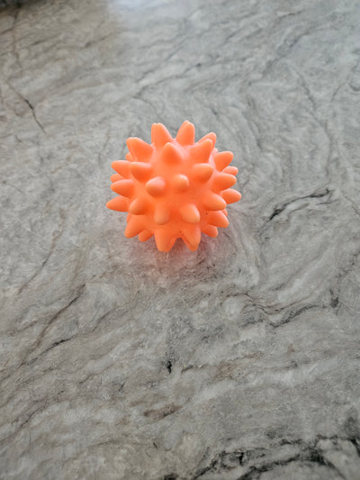 Assorted Dog Toys image 1